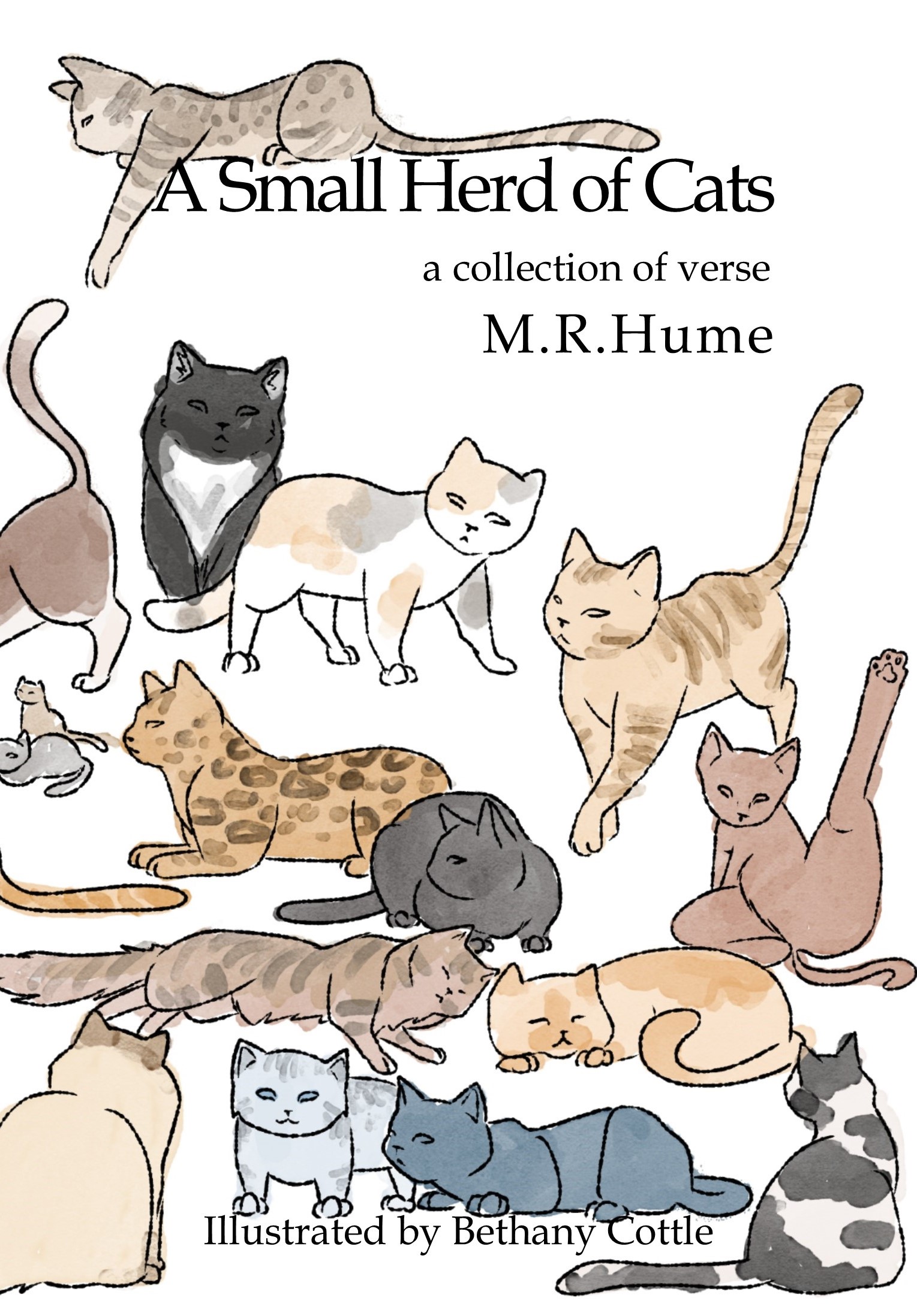 A Small Herd of Cats cover - Copyright M.R. Hume 2019